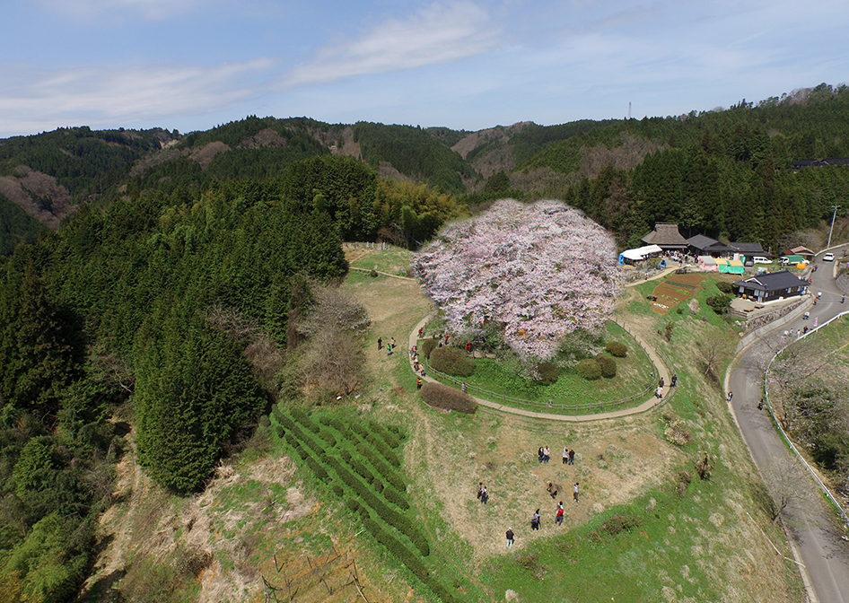 ドローン空撮おすすめスポット