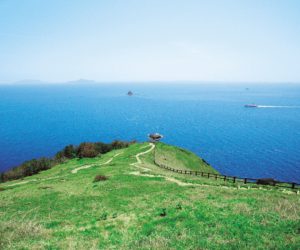 高茂岬