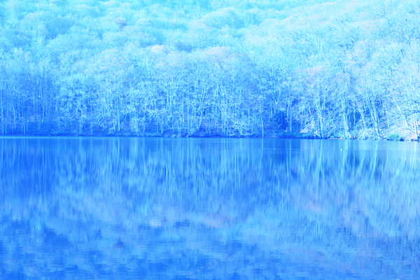 蔦沼